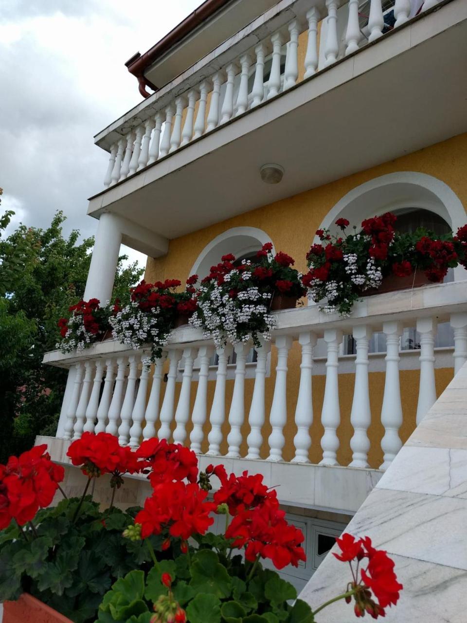 Casa Monica Hotel Băile Felix Exterior photo