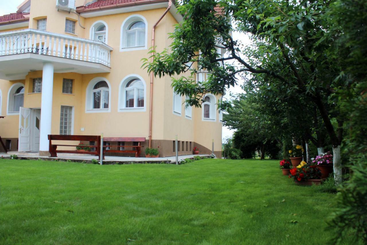 Casa Monica Hotel Băile Felix Exterior photo